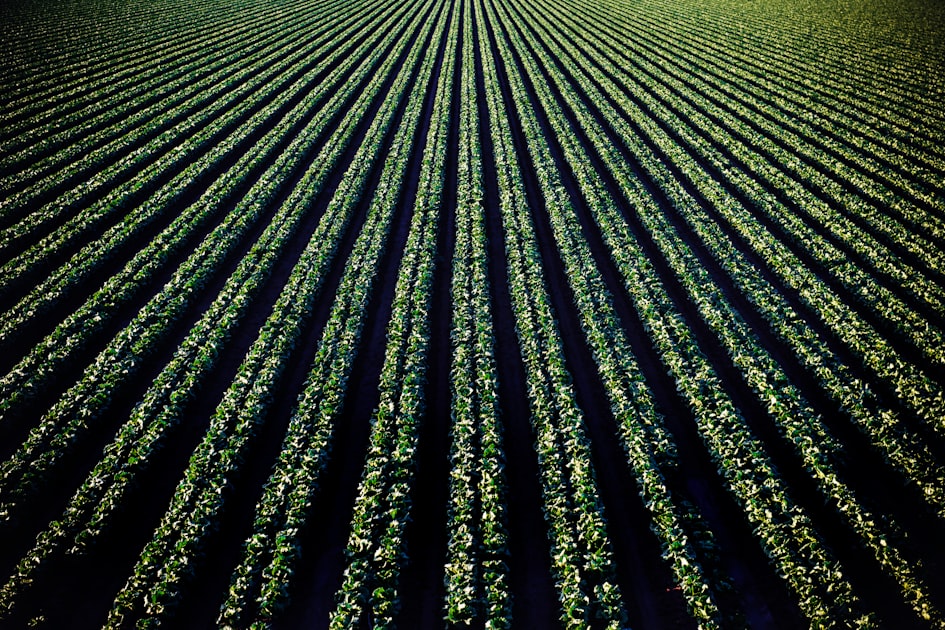 Fertility Management Tips
