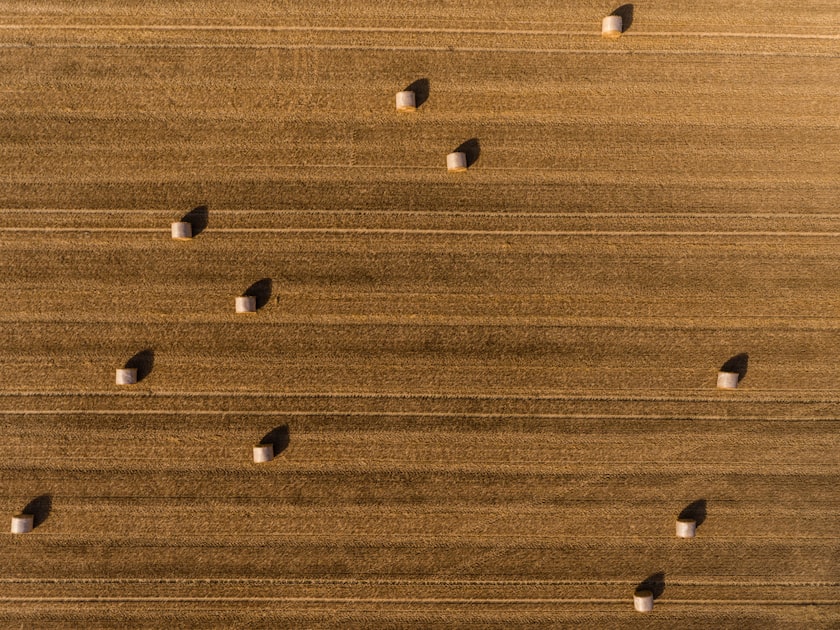 Nutrient Removal in Crops