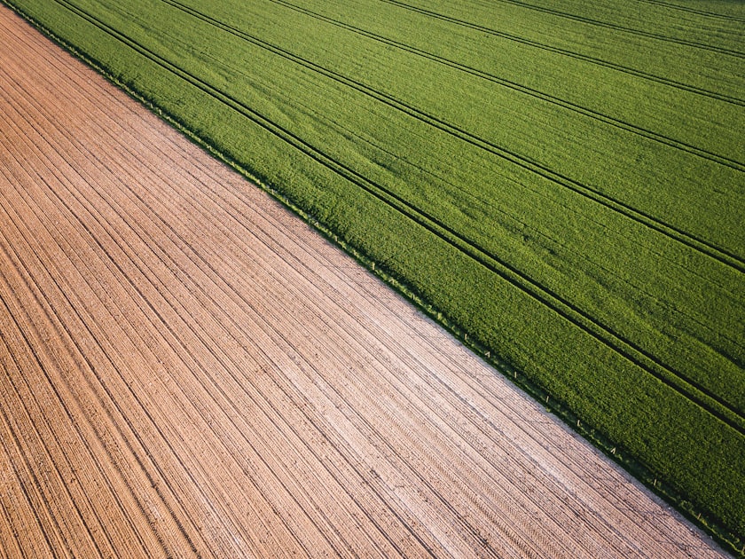 Real-World Production Economics