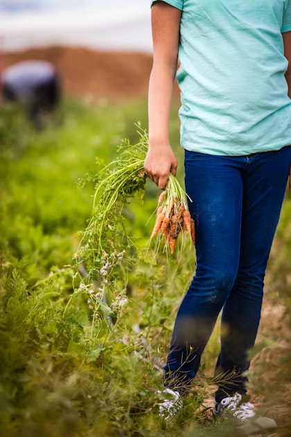 Weekly Hay Market Reports